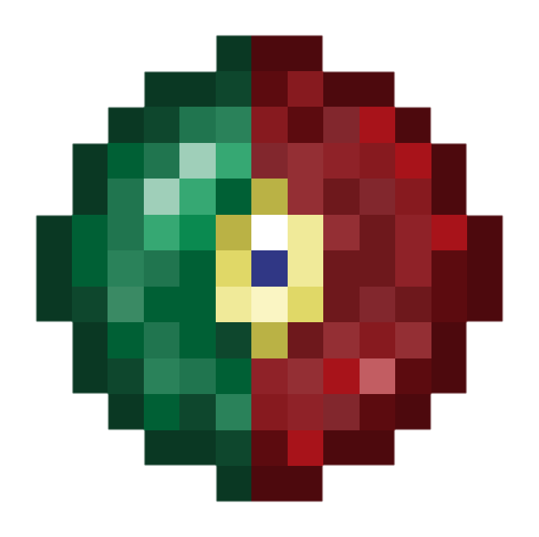 MCSR Portugal